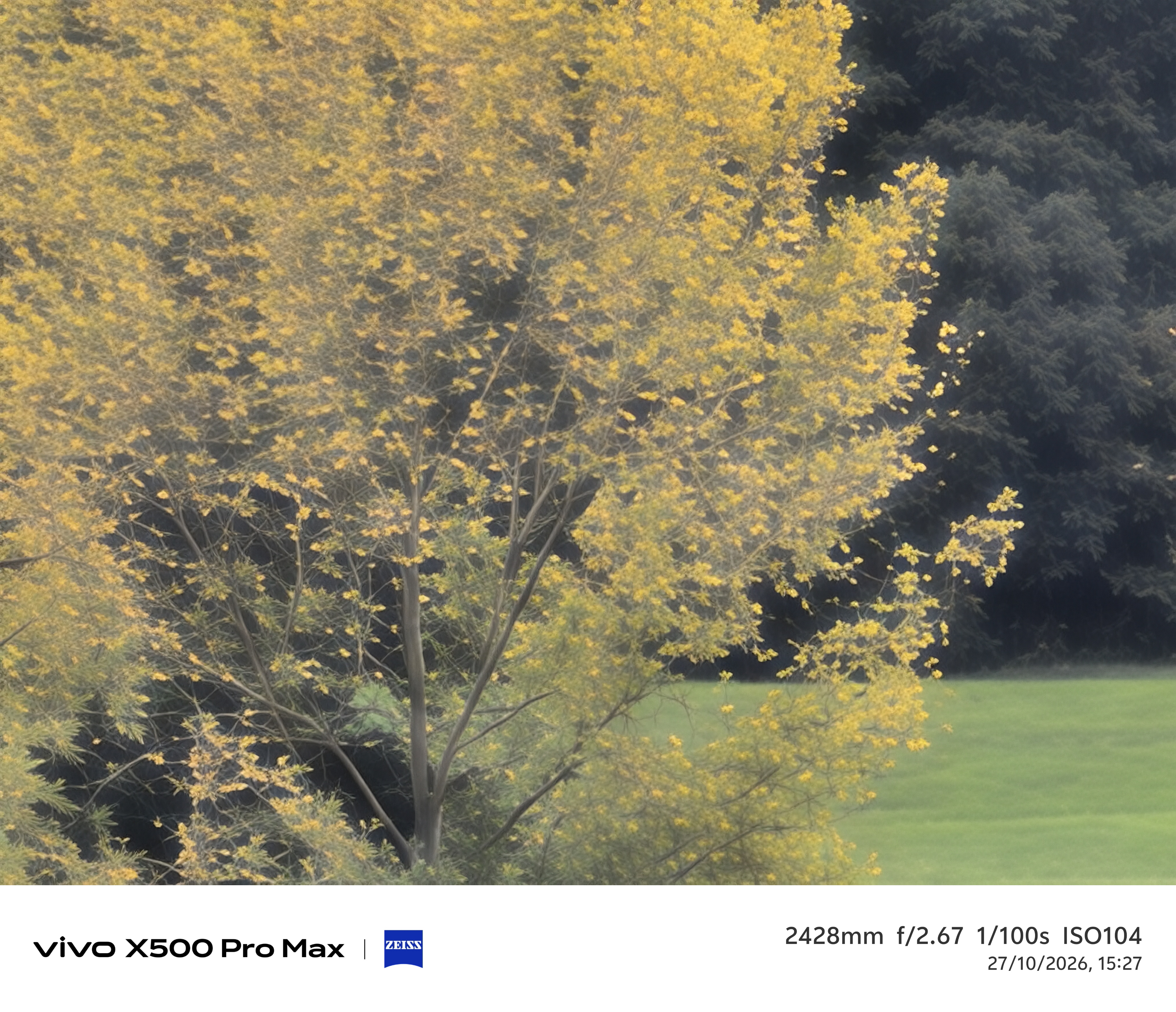 Geeknetic Vivo X500 Pro Max Review: un portento en fotografía con teleobjetivos Zeiss intercambiables que lleva la cámara móvil a otro nivel 75