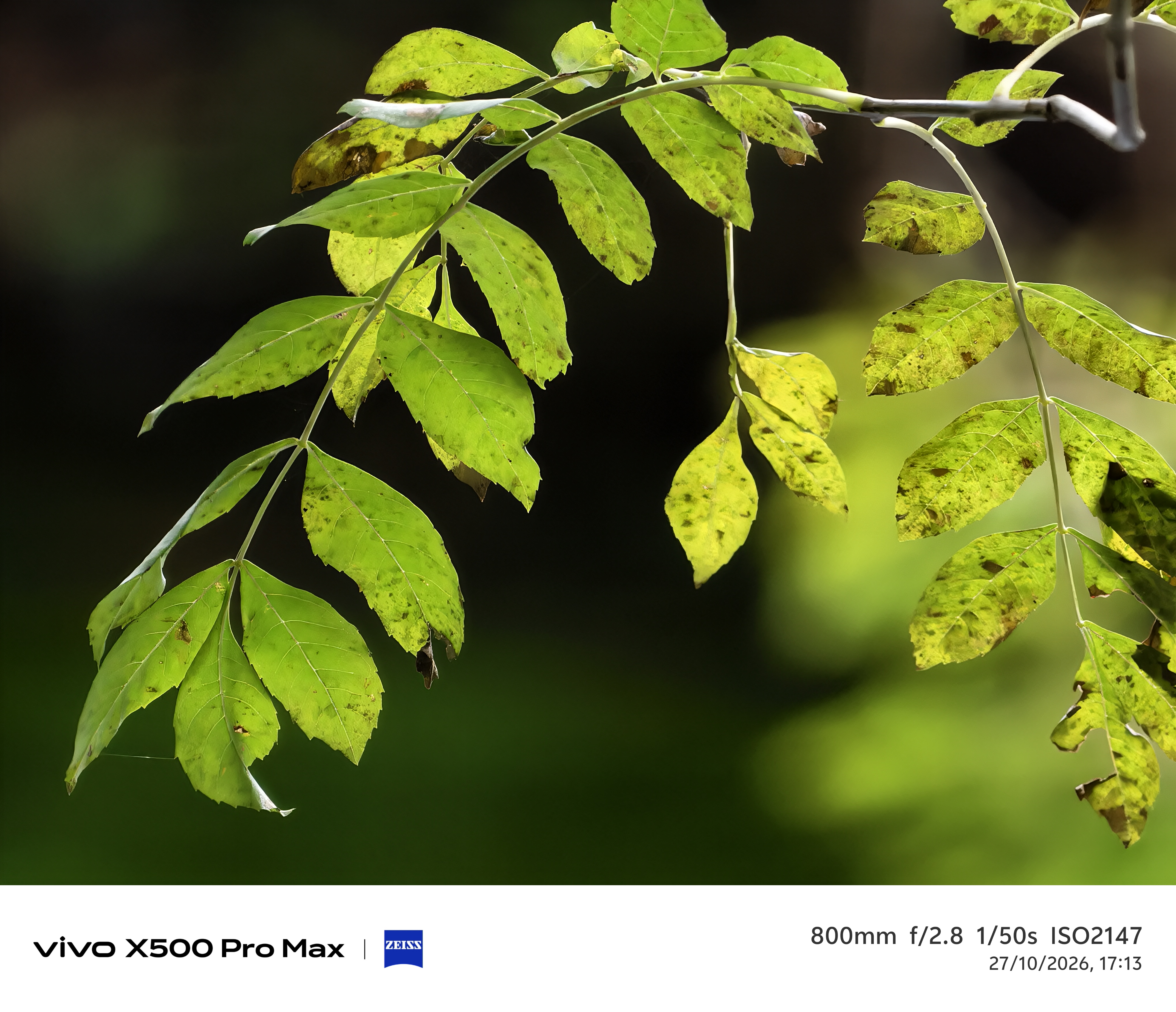 Geeknetic Vivo X500 Pro Max Review: un portento en fotografía con teleobjetivos Zeiss intercambiables que lleva la cámara móvil a otro nivel 35