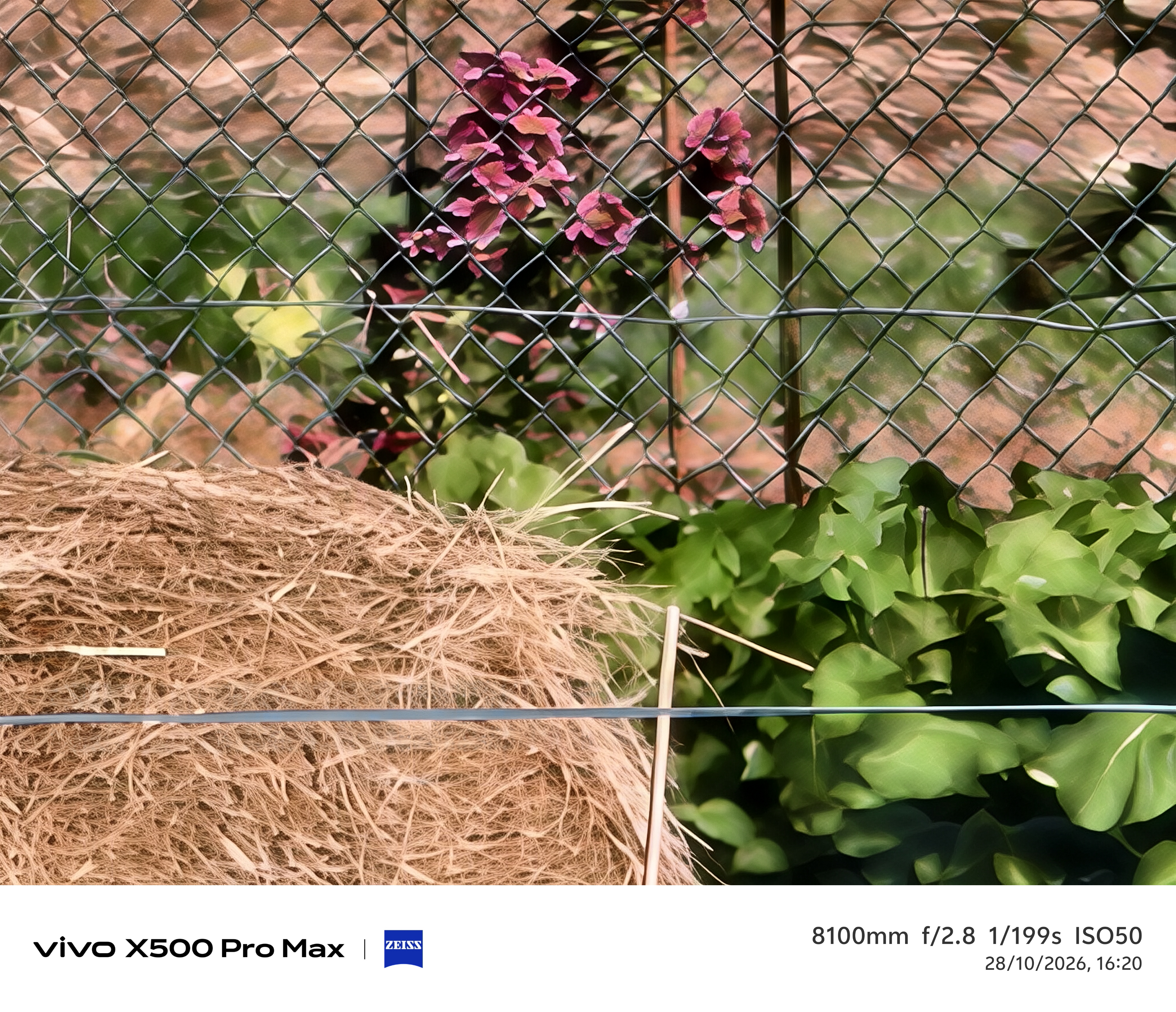 Geeknetic Vivo X500 Pro Max Review: un portento en fotografía con teleobjetivos Zeiss intercambiables que lleva la cámara móvil a otro nivel 102