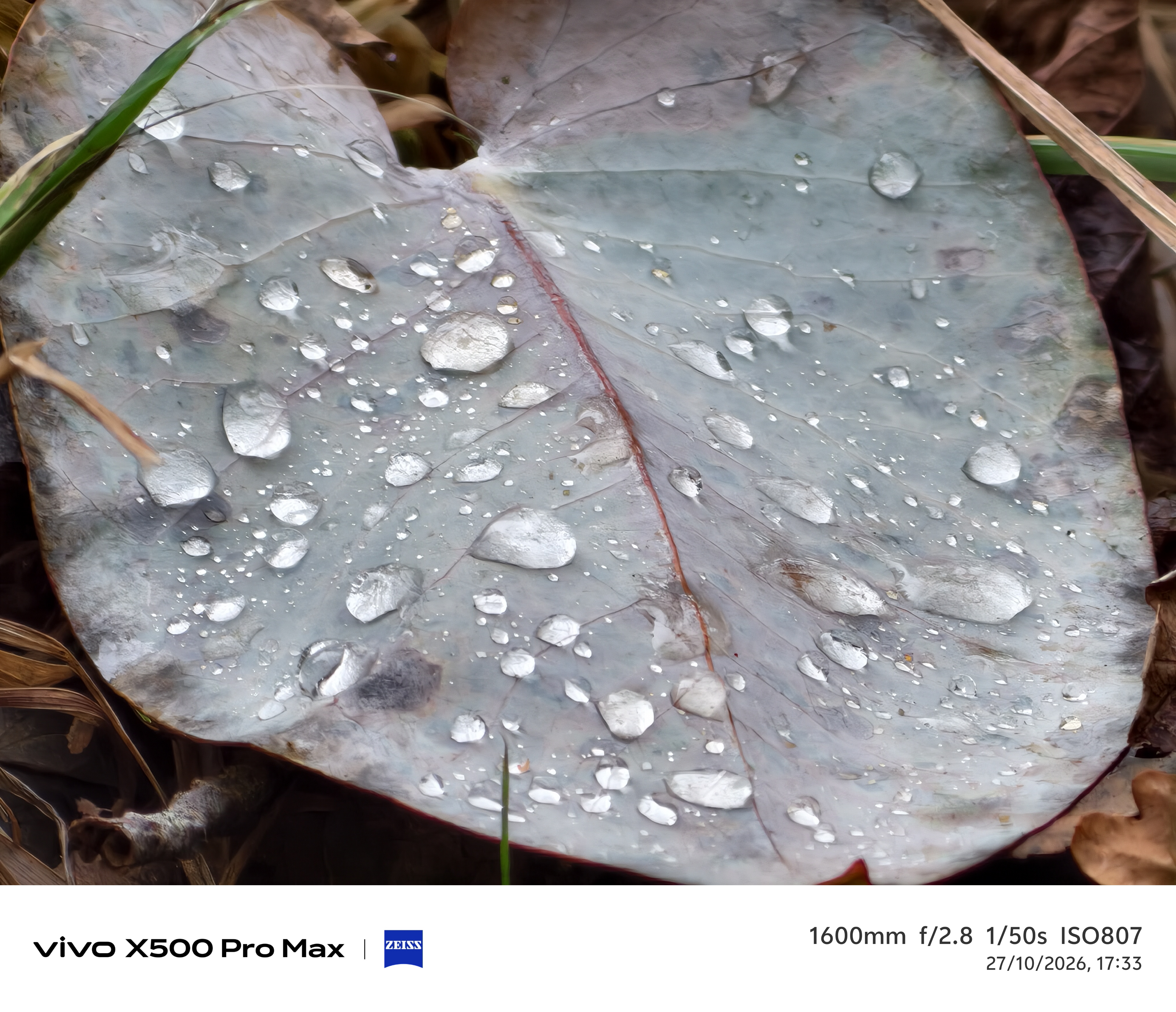 Geeknetic Vivo X500 Pro Max Review: un portento en fotografía con teleobjetivos Zeiss intercambiables que lleva la cámara móvil a otro nivel 41