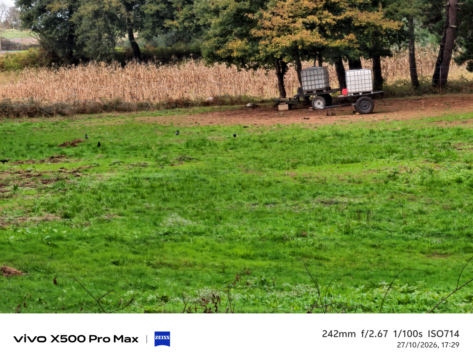 Geeknetic Vivo X500 Pro Max Review: un portento en fotografía con teleobjetivos Zeiss intercambiables que lleva la cámara móvil a otro nivel 83