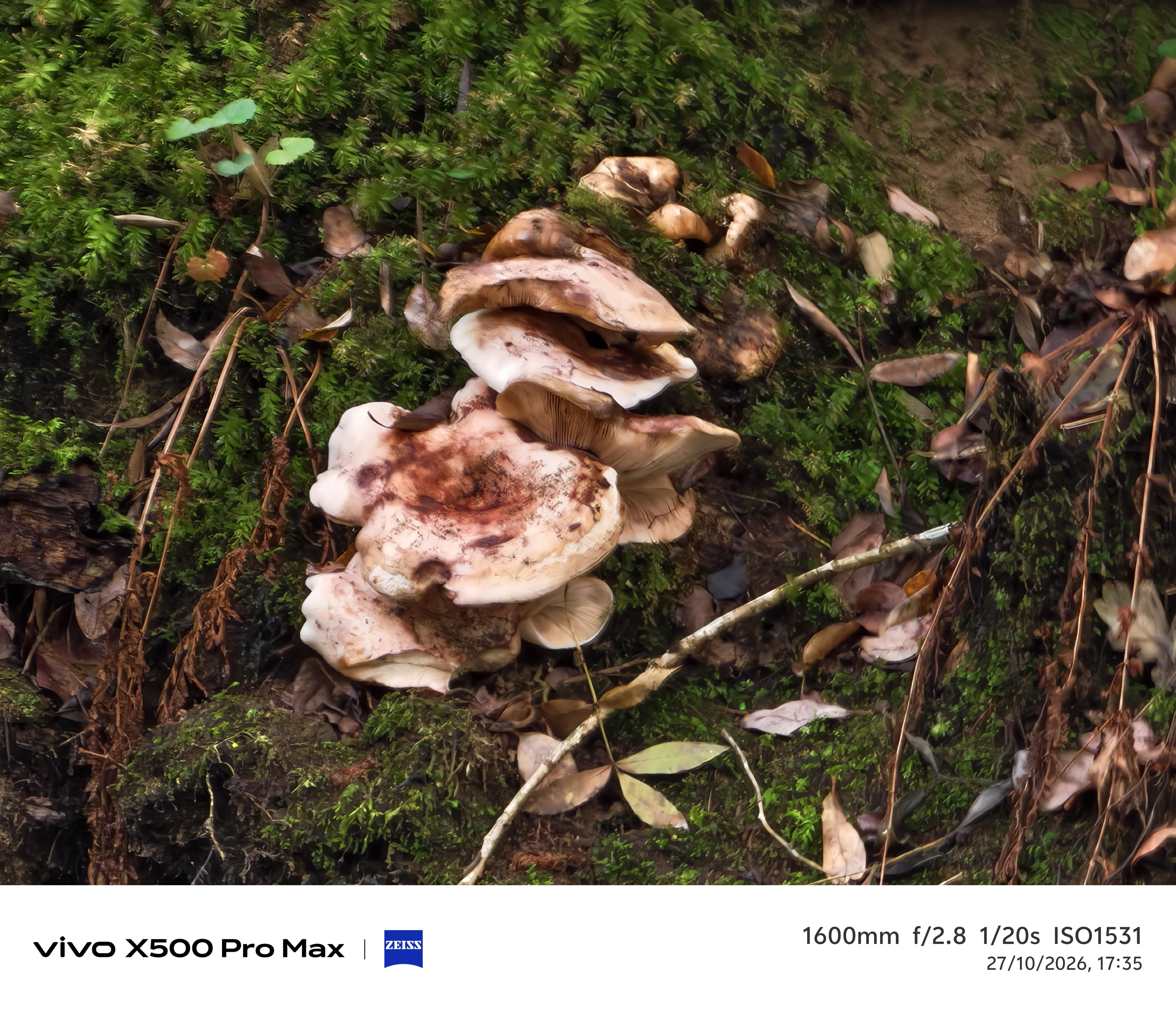 Geeknetic Vivo X500 Pro Max Review: un portento en fotografía con teleobjetivos Zeiss intercambiables que lleva la cámara móvil a otro nivel 93