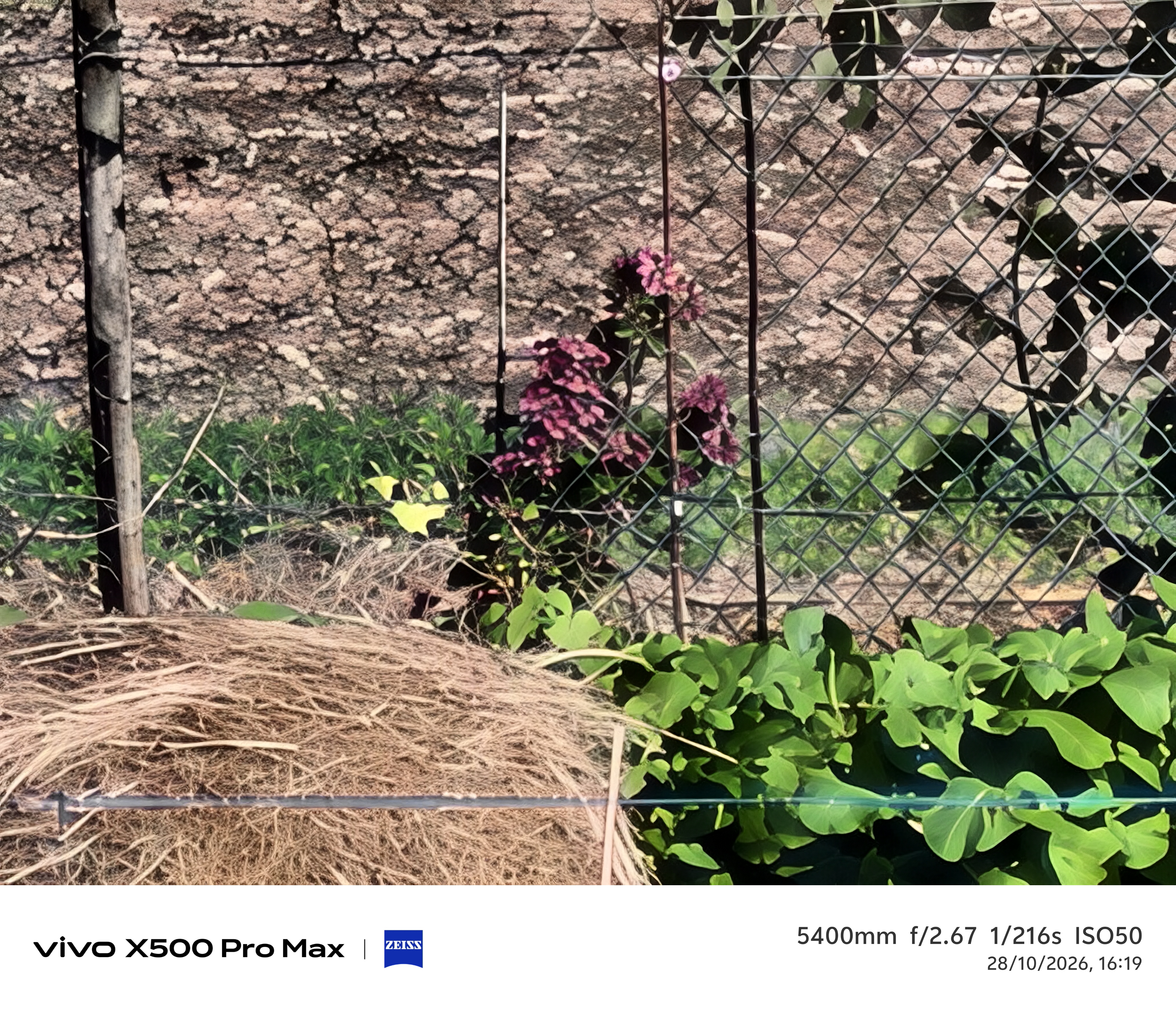 Geeknetic Vivo X500 Pro Max Review: un portento en fotografía con teleobjetivos Zeiss intercambiables que lleva la cámara móvil a otro nivel 98