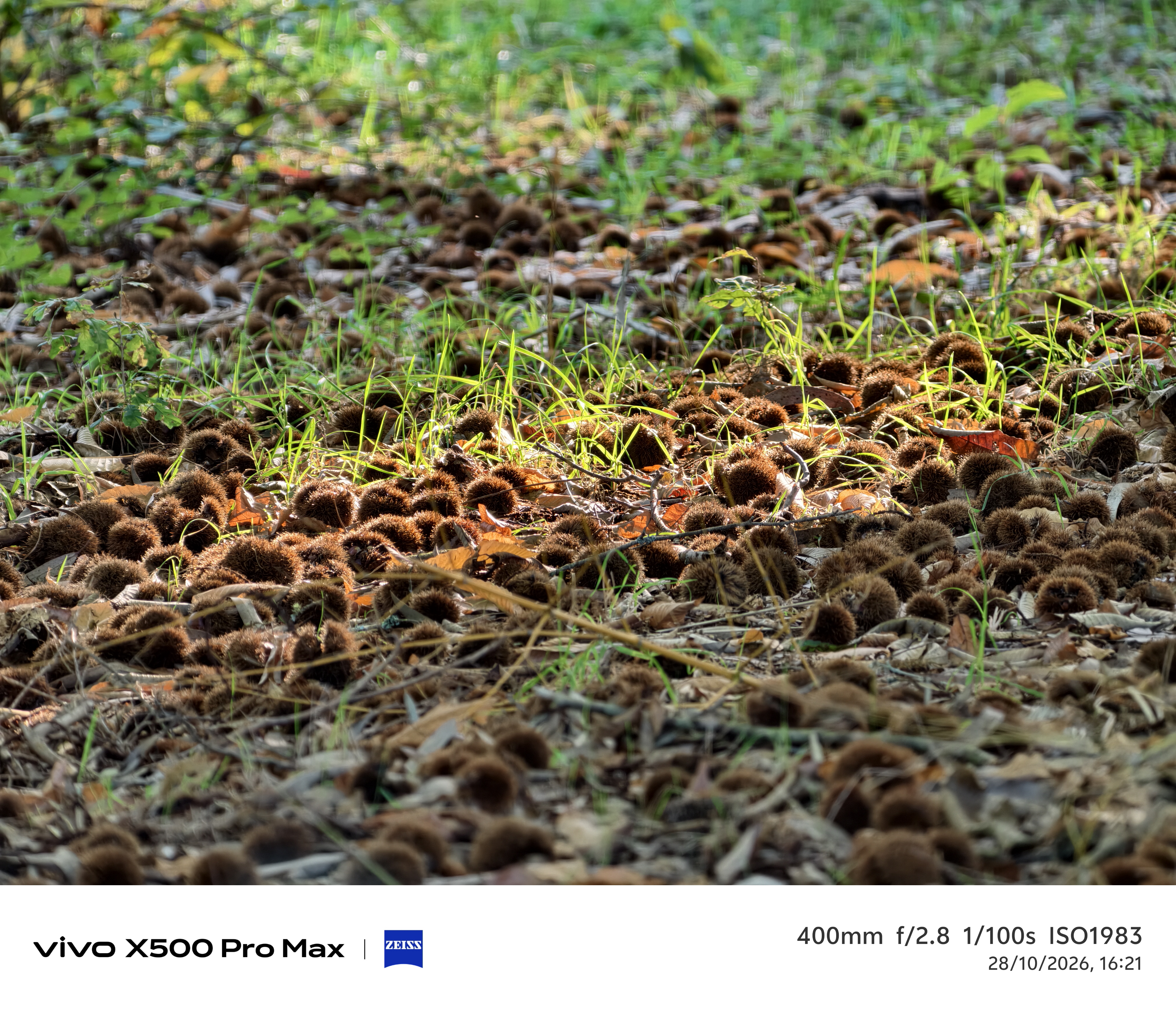 Geeknetic Vivo X500 Pro Max Review: un portento en fotografía con teleobjetivos Zeiss intercambiables que lleva la cámara móvil a otro nivel 43