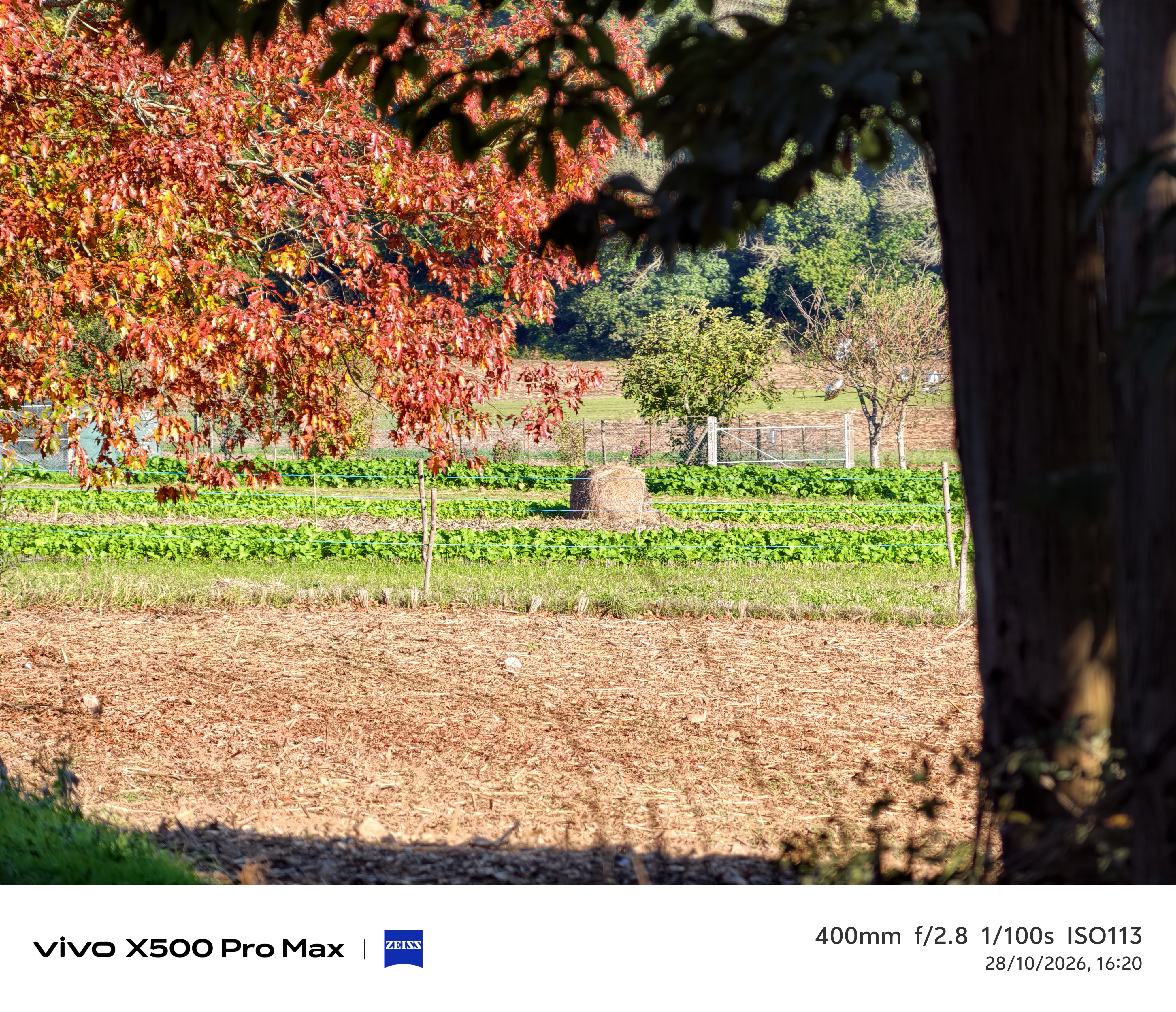 Geeknetic Vivo X500 Pro Max Review: un portento en fotografía con teleobjetivos Zeiss intercambiables que lleva la cámara móvil a otro nivel 99