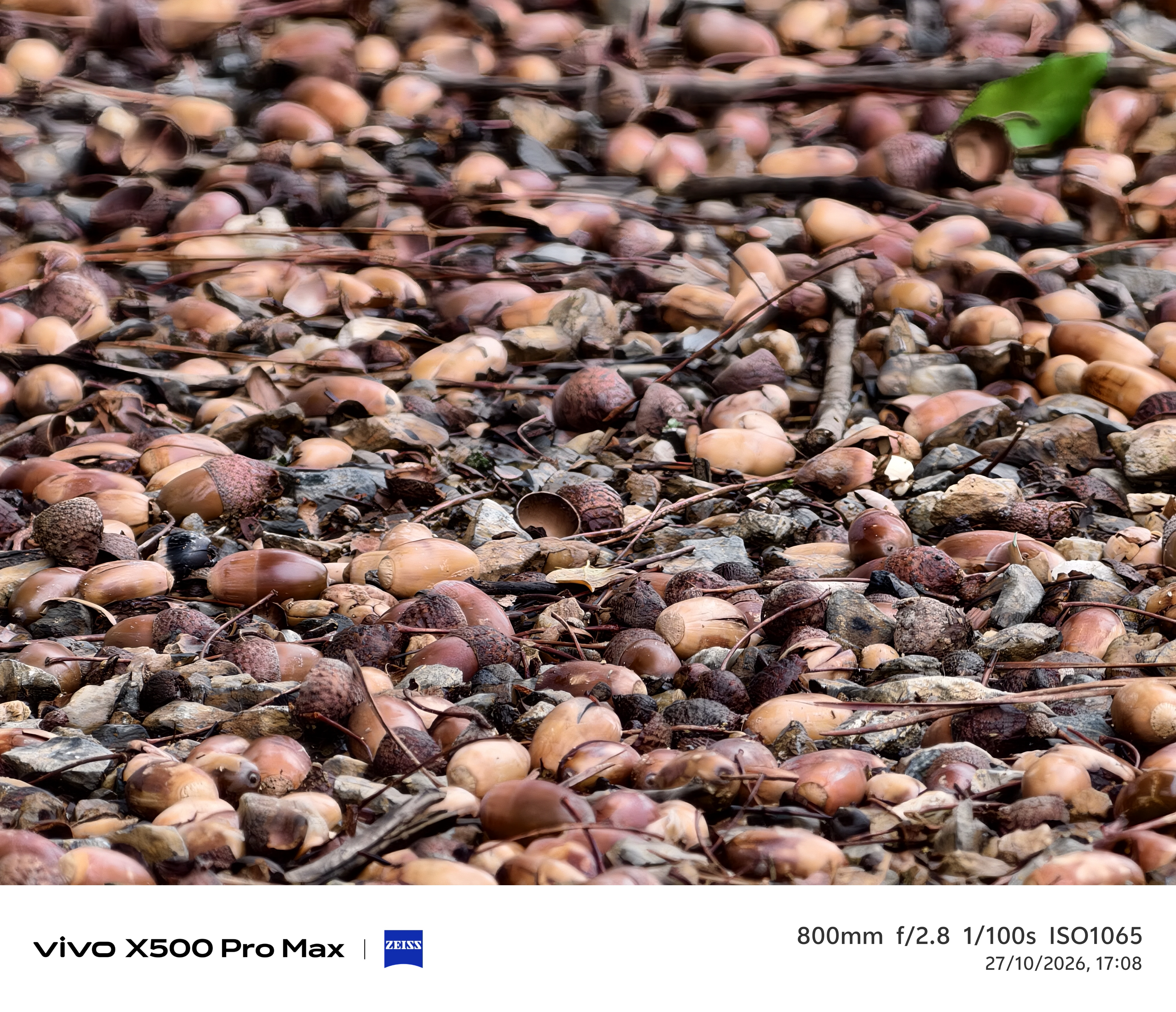 Geeknetic Vivo X500 Pro Max Review: un portento en fotografía con teleobjetivos Zeiss intercambiables que lleva la cámara móvil a otro nivel 34