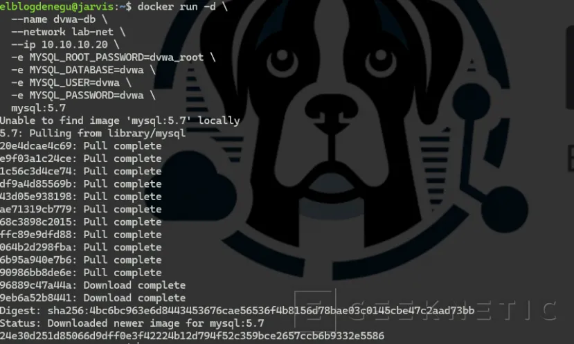 Geeknetic Monta tu laboratorio de IA para hacking: orquesta ataques reales con agentes autónomos y exprime tu GPU en local 27