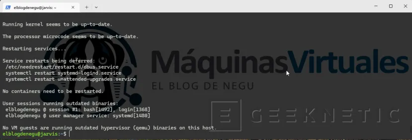 Geeknetic Post-instalación Ubuntu Server 24.04 para IA local: el servidor que trabaja en silencio 2