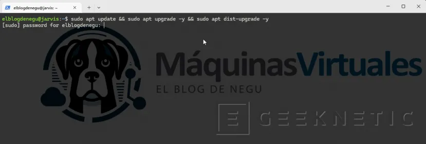 Geeknetic Post-instalación Ubuntu Server 24.04 para IA local: el servidor que trabaja en silencio 1