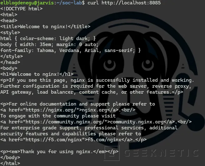 Geeknetic Cómo Analizar Miles de Logs con IA Local usando Ollama y GPU 7