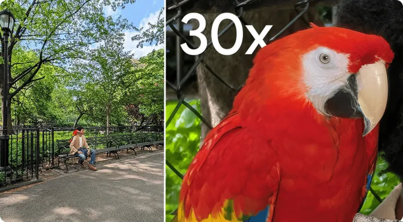Geeknetic Evan Blass nos muestra cómo serán los Pixel 11 y Pixel 11 Pro antes de su lanzamiento 4