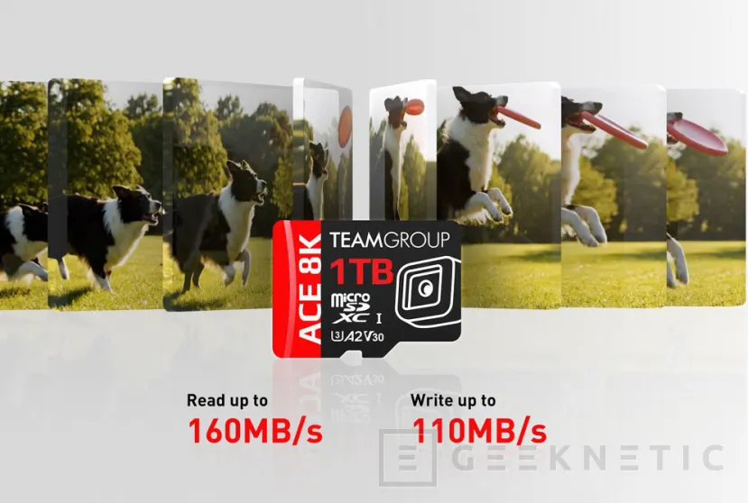 Geeknetic La nueva microSDXC ACE 8K de Team Group llega con hasta 1 TB de capacidad, 160 MB/s de lectura y garantía de por vida 3