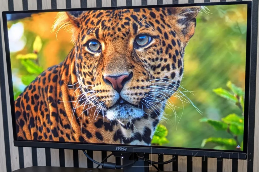 MSI MPG 271QR QD-OLED X50