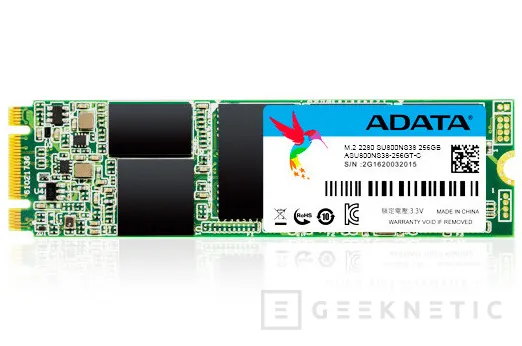 ADATA apuesta por el formato M.2 en sus SSD Ultimate SU800 SATA, Imagen 1