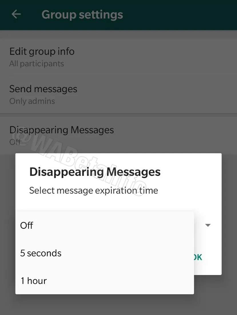 Geeknetic La nueva función de WhatsApp permitirá que los mensajes desaparezcan automáticamente 1