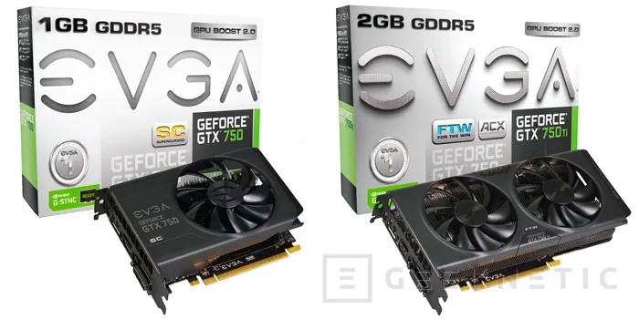 Llegan las GeForce GTX 750 y 750 Ti personalizadas por los fabricantes, Imagen 2